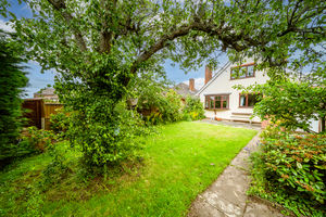 GARDEN- click for photo gallery